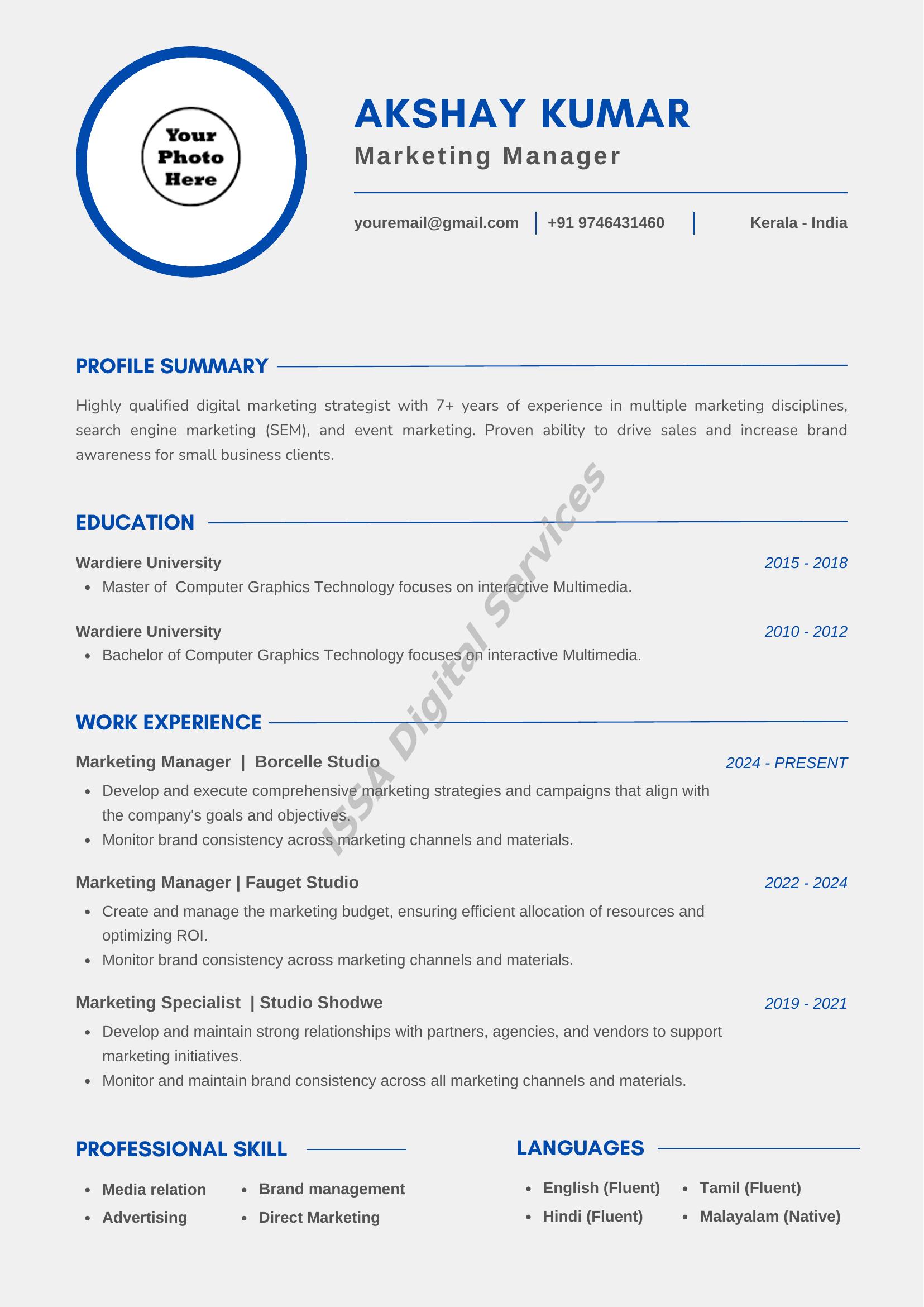 Professional CV Sample Design